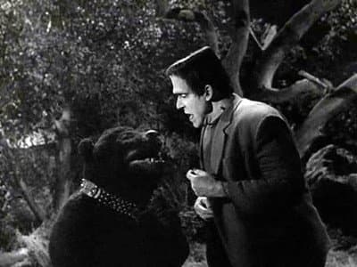 Still from Herman’s Child Psychology