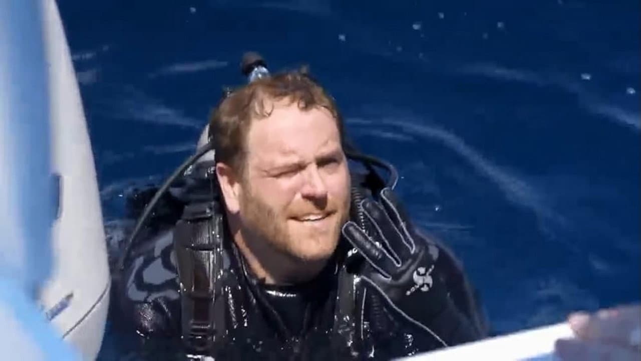 Still from Revealing the Triangle