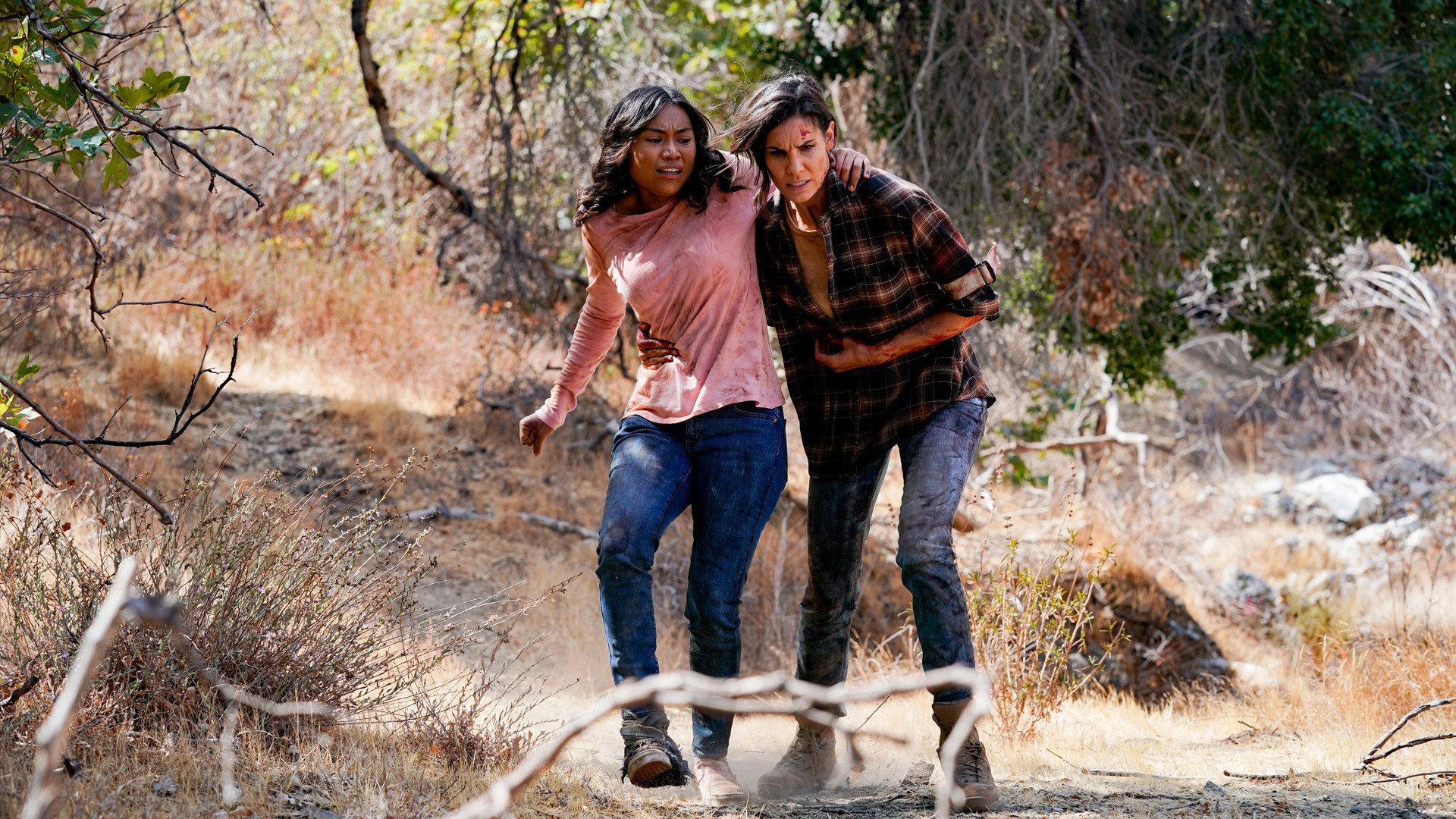 Still from A Land of Wolves