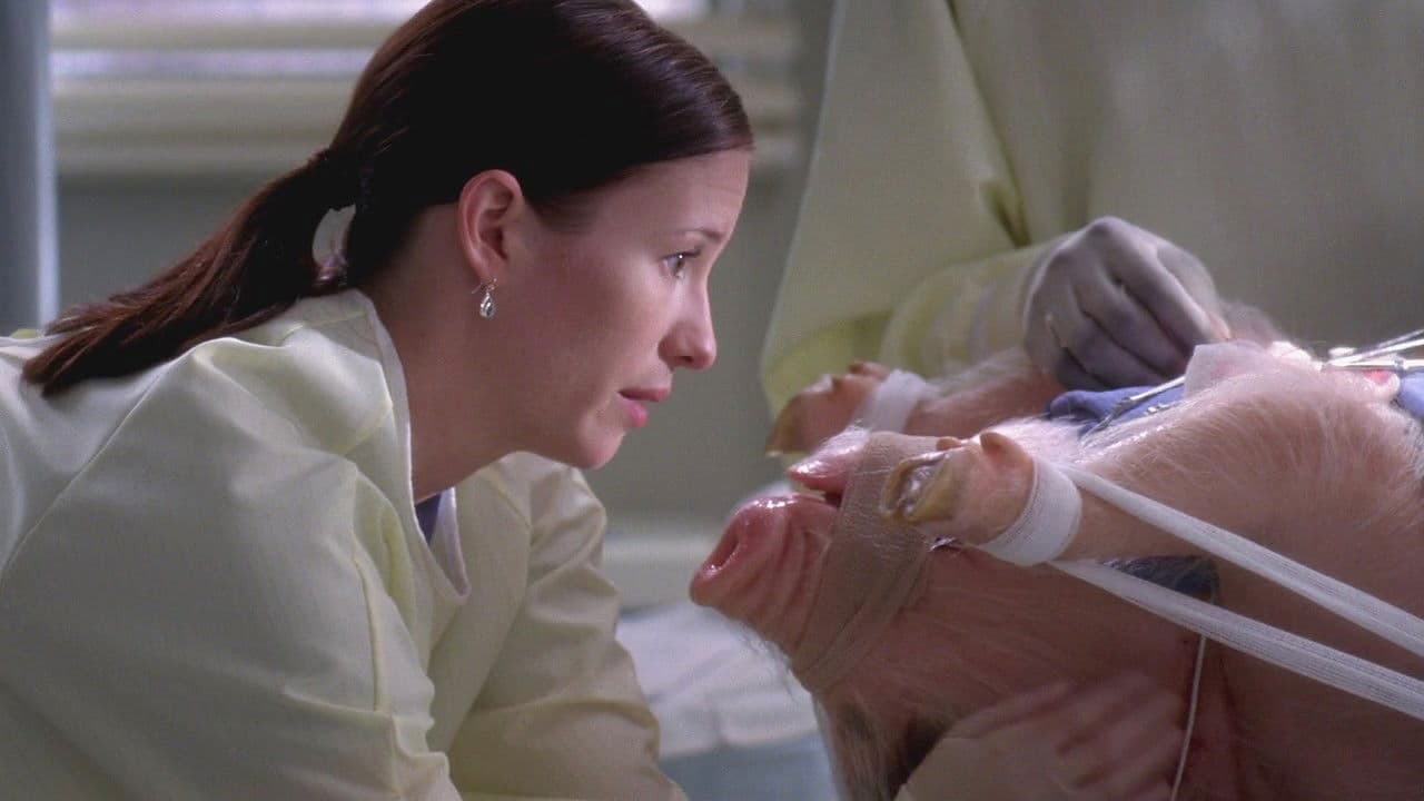 Still from Life During Wartime