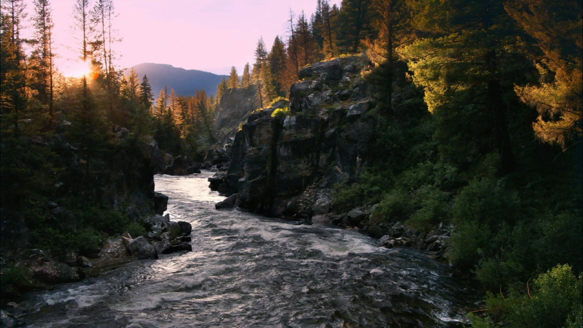Still from River of No Return