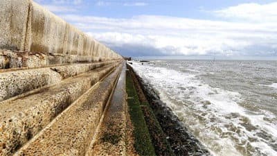 Still from The Wild Places of Essex