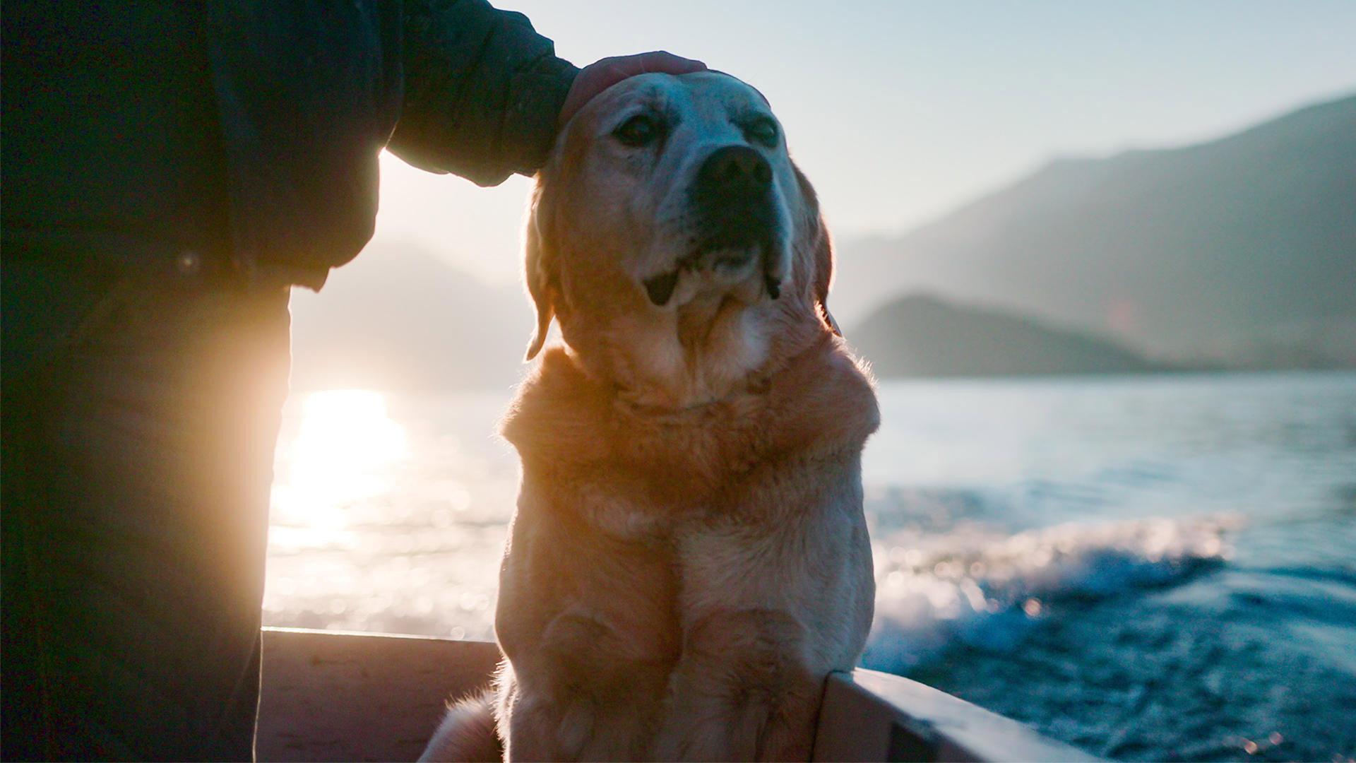 Still from Ice on the Water