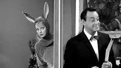 Still from Lucy Is a Kangaroo for a Day