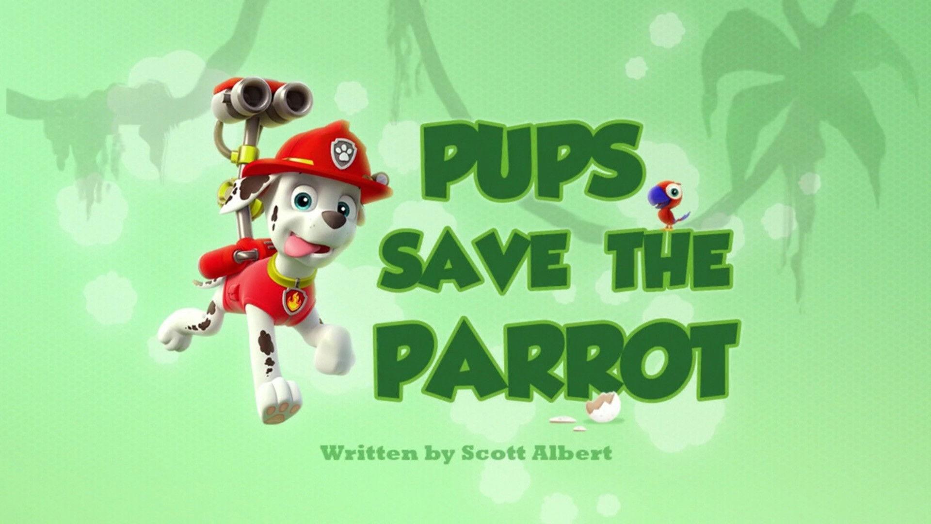 Still from Pups Save the Parrot