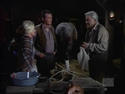 Still from The Saddle Stiff