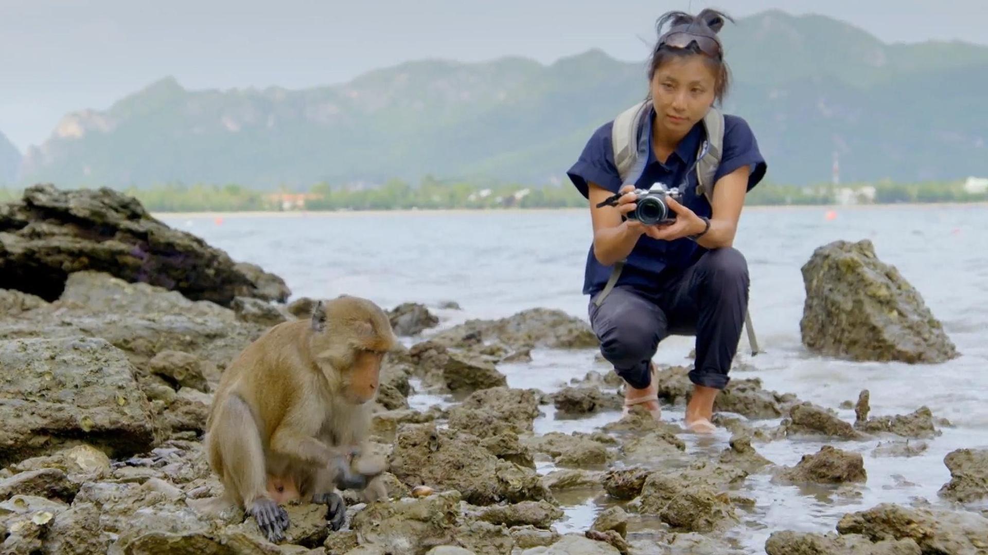 Still from Primates 03: Protecting Primates