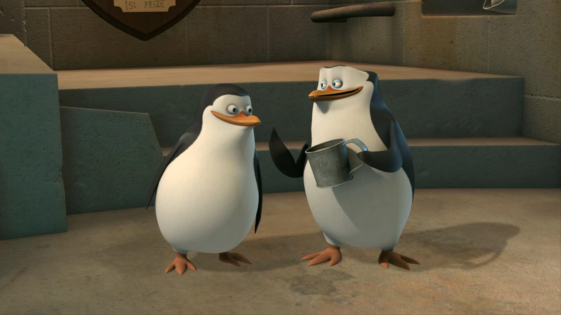 Still from Mask of the Raccoon