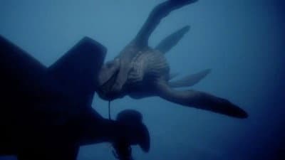 Still from The Submarine