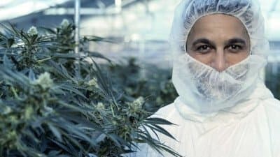 Still from Cannabis: Miracle Medicine or Dangerous Drug?