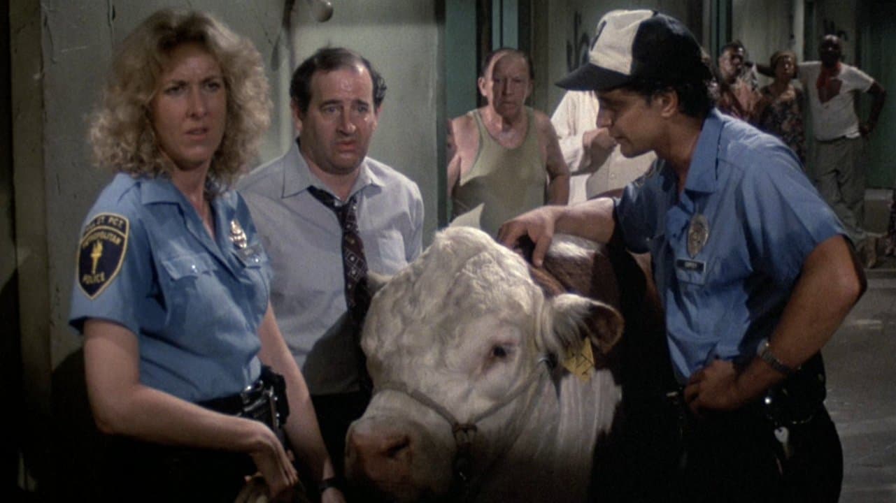 Still from Domestic Beef