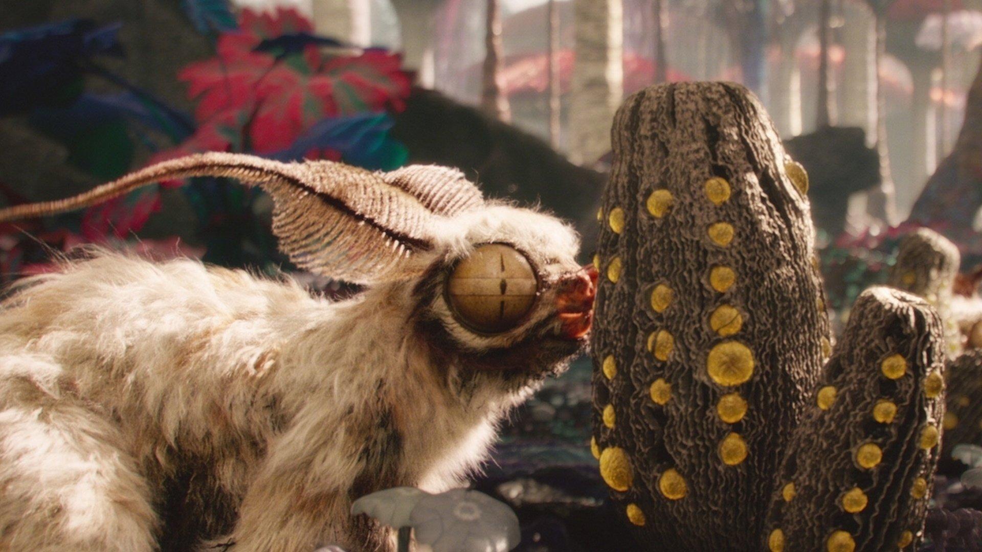 Still from Eden