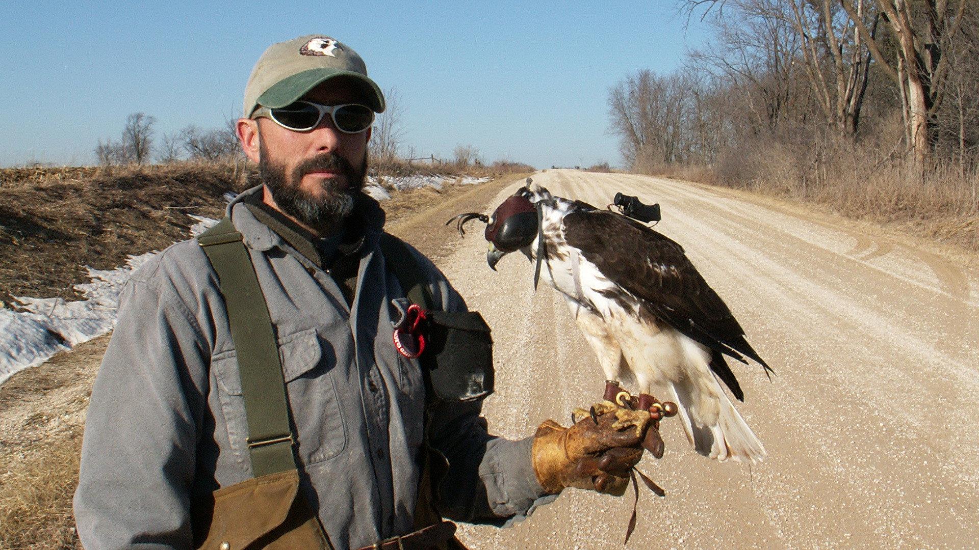 Still from Raptor Force