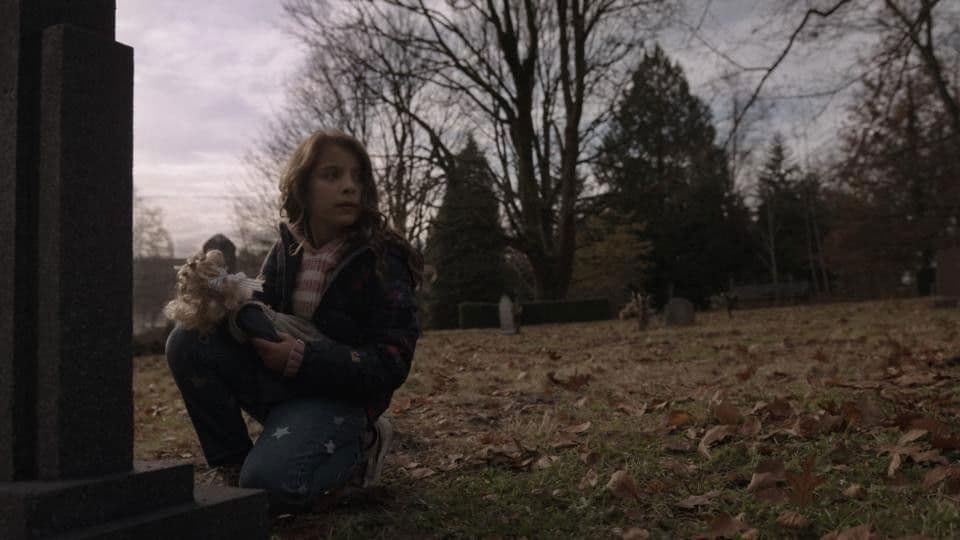 Still from Dogwood-Azalea (Missouri) (1)