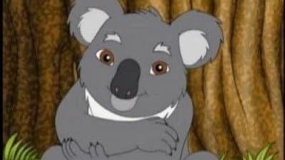 Still from Koala's Birthday Hug