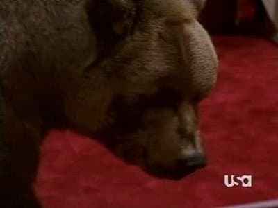 Still from Bear Trap