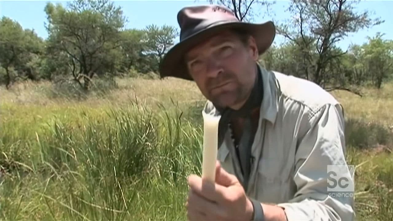 Still from African Plains