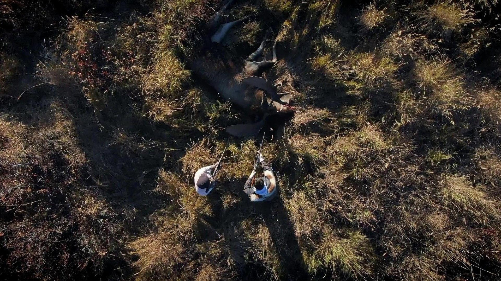 Still from Blood on the Ground