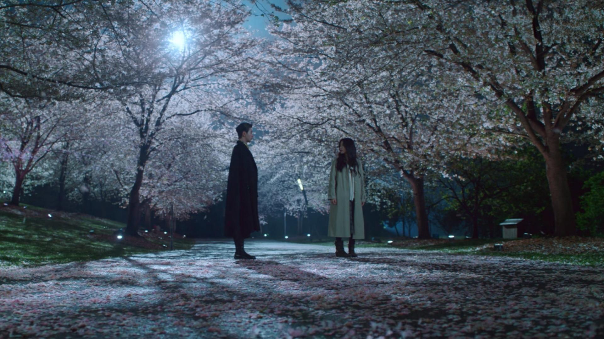 Still from A Safe Harbor for the Soul