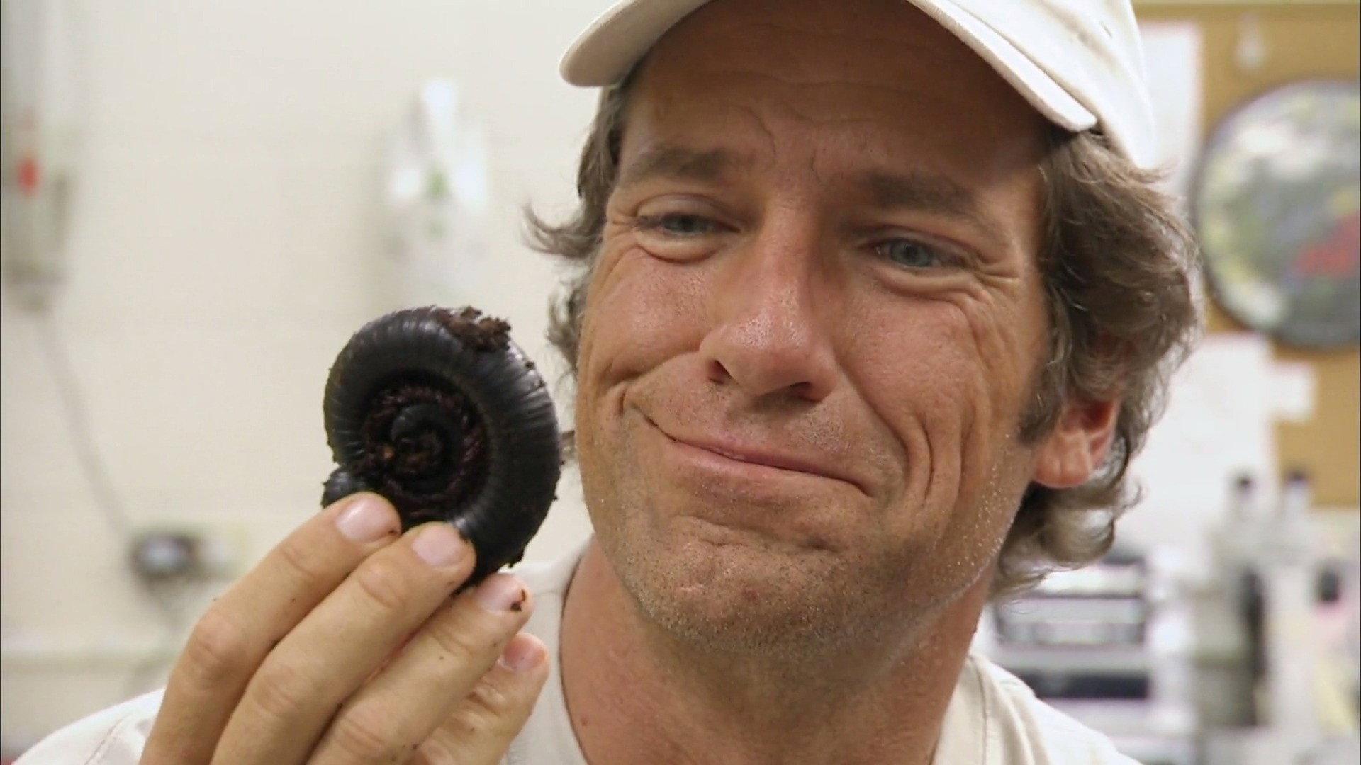 Still from Bug Breeder
