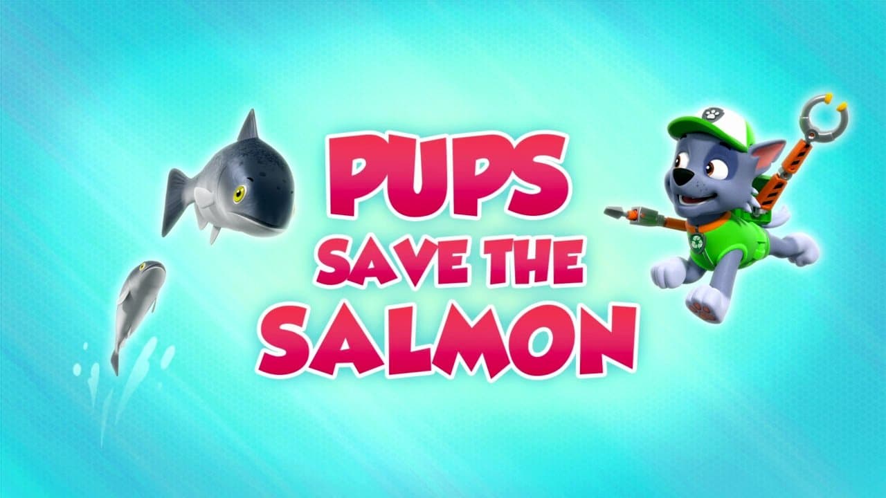 Still from Pups Save the Salmon