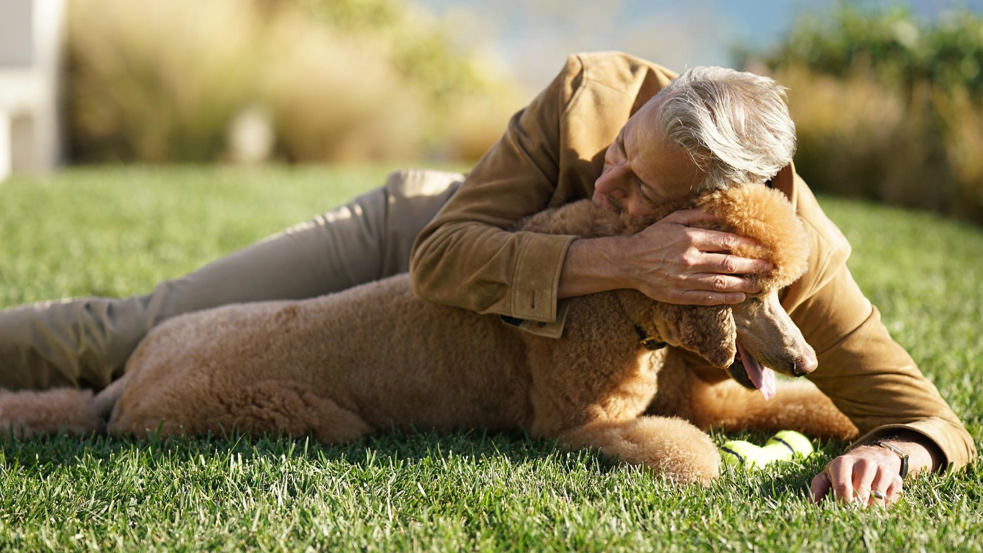 Still from Dogs