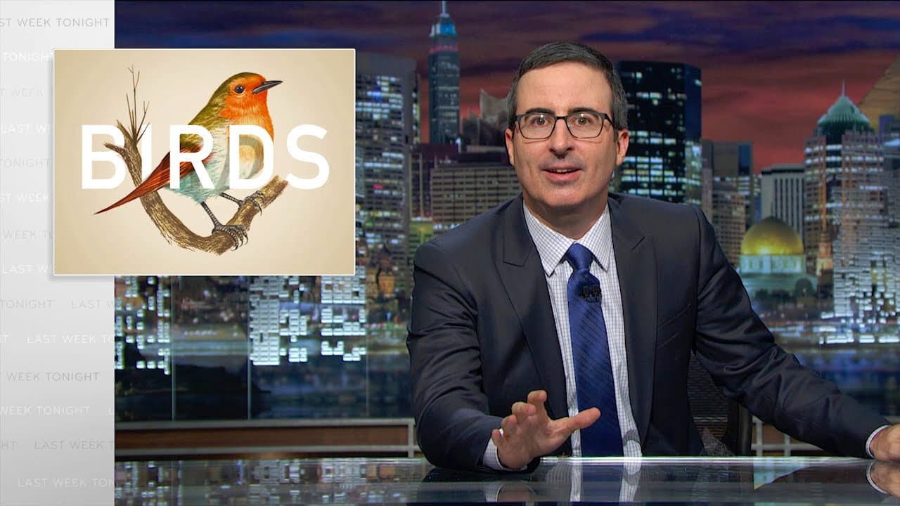 Still from Birds
