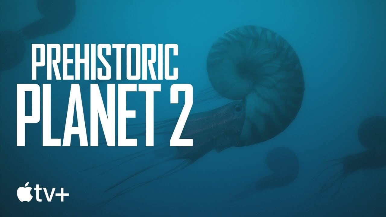 Still from Uncovered: What Do We Really Know About Ammonites?