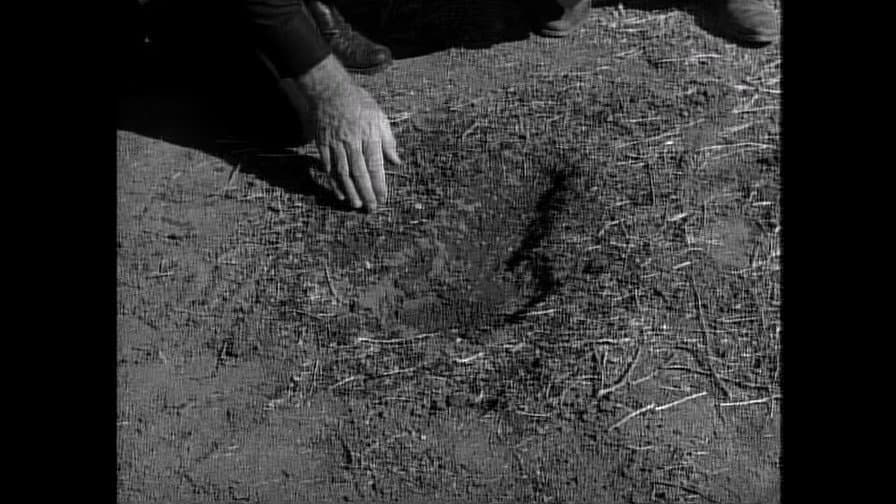 Still from The Monster of Moon Ridge