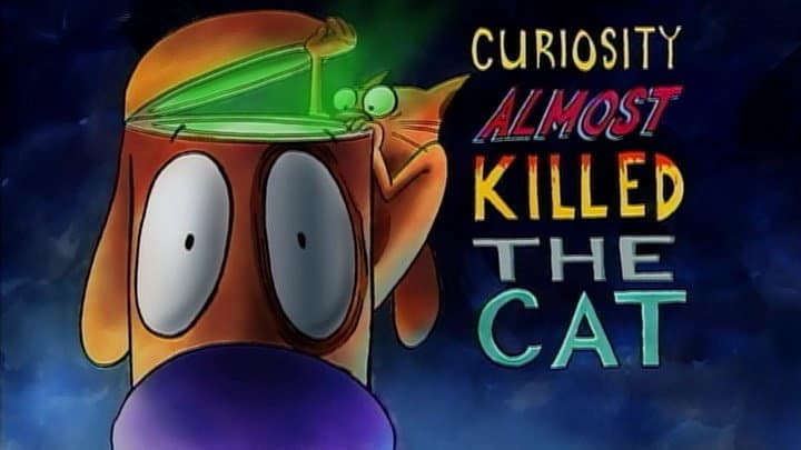 Still from Curiosity Almost Killed The Cat