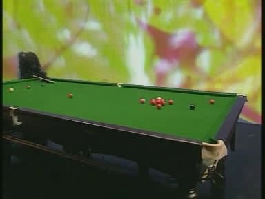 Still from Badger Watch