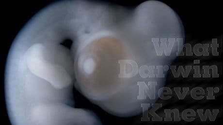 Still from What Darwin Never Knew