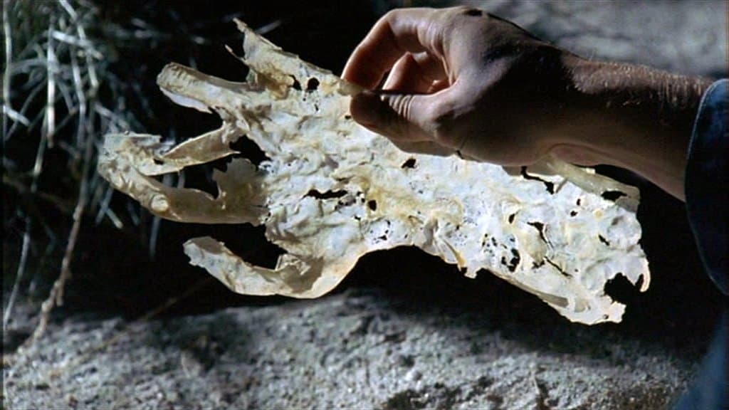 Still from Skin and Bones