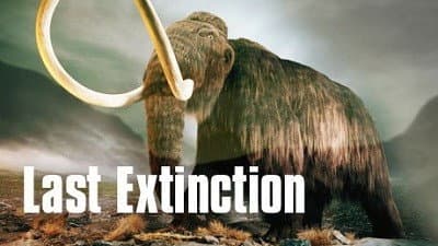 Still from Last Extinction