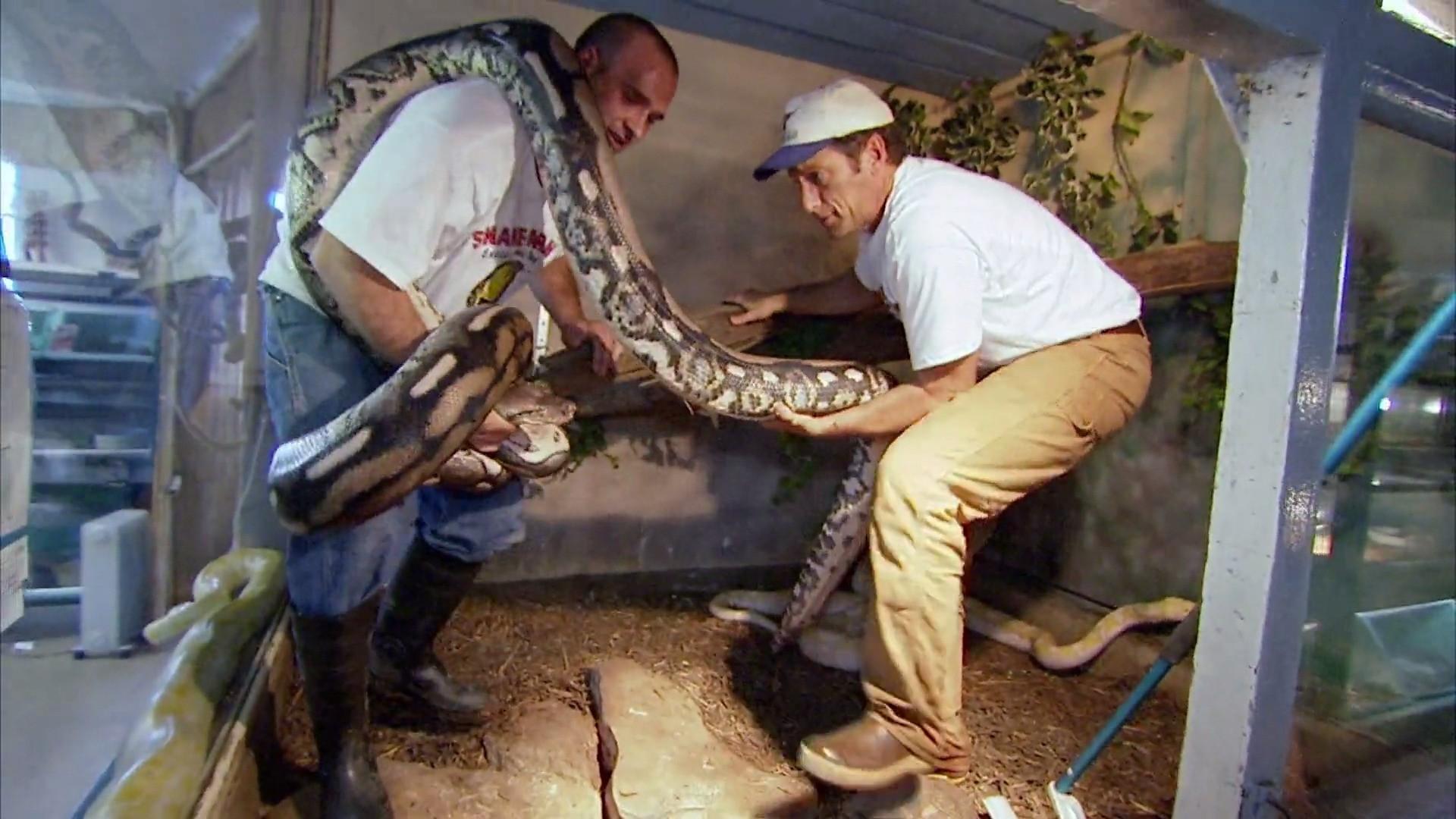 Still from Snake Wrangler