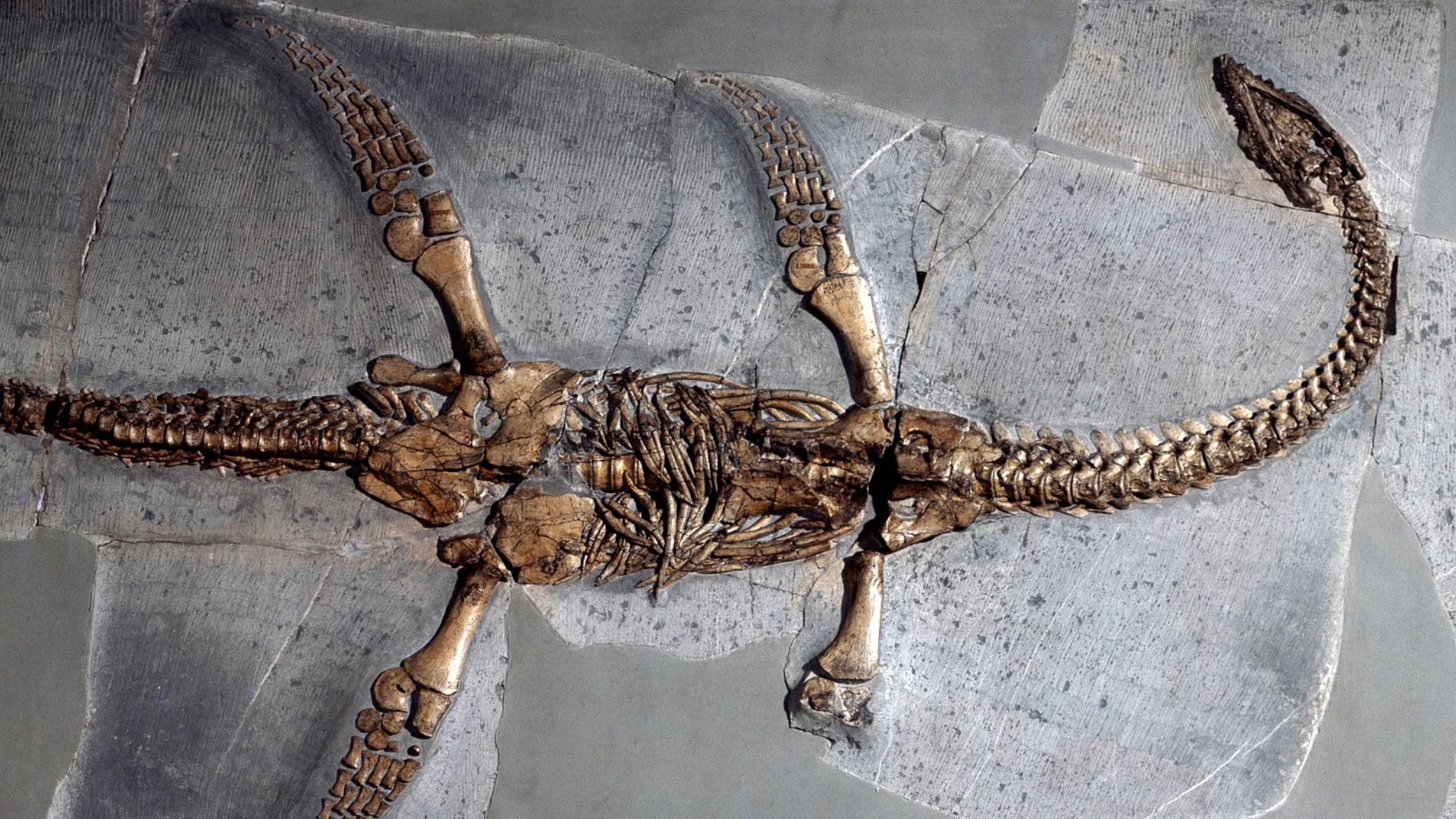Still from The Loch Ness Monster