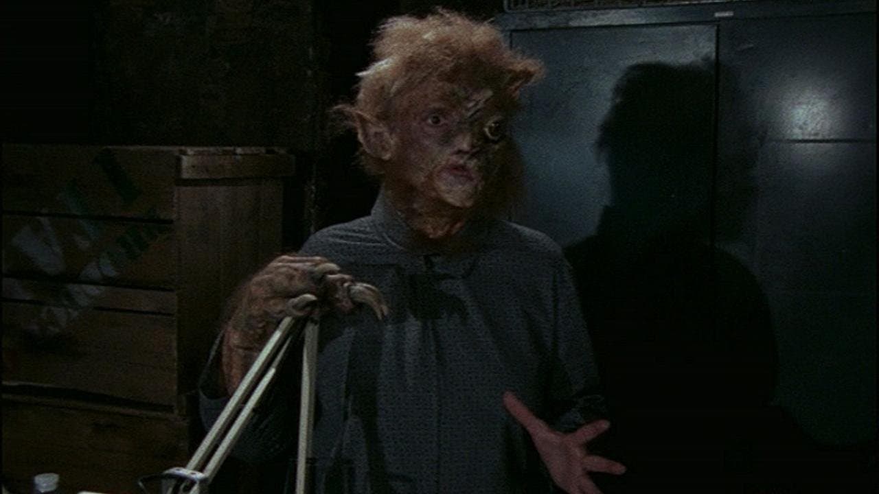 Still from Cry of the Cat (2)
