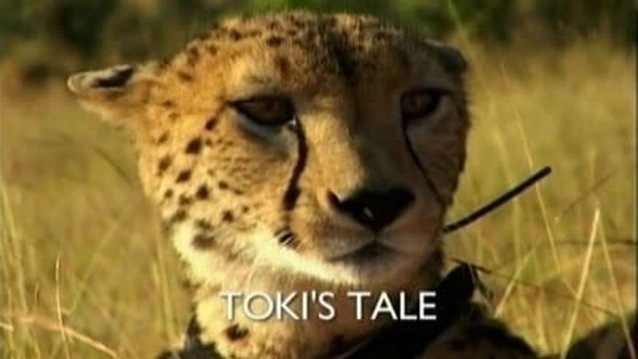 Still from Toki's Tale