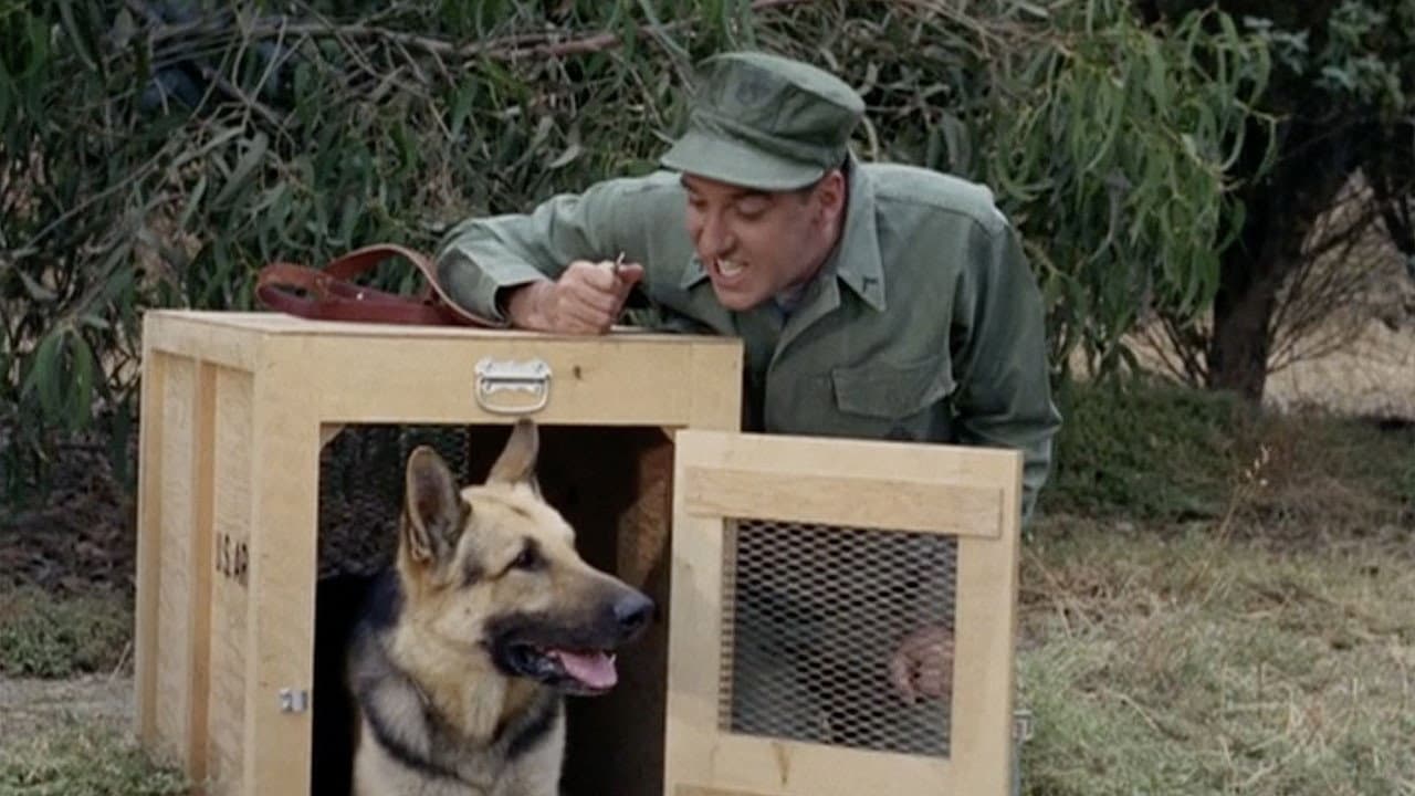 Still from Gomer Untrains a Dog