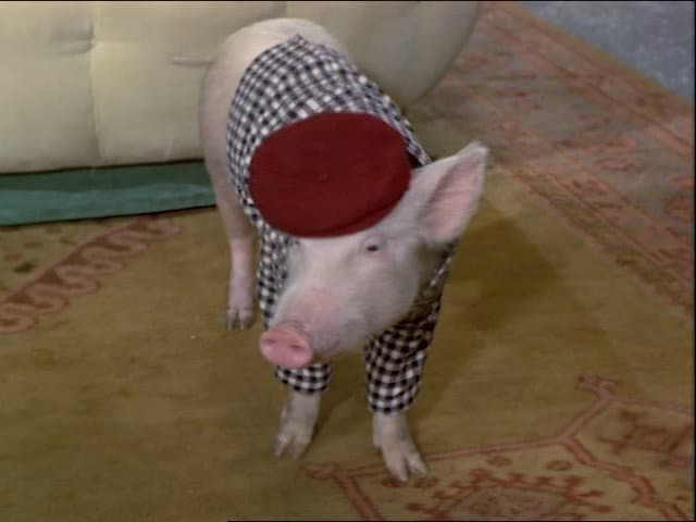 Still from A Tale of a Tail