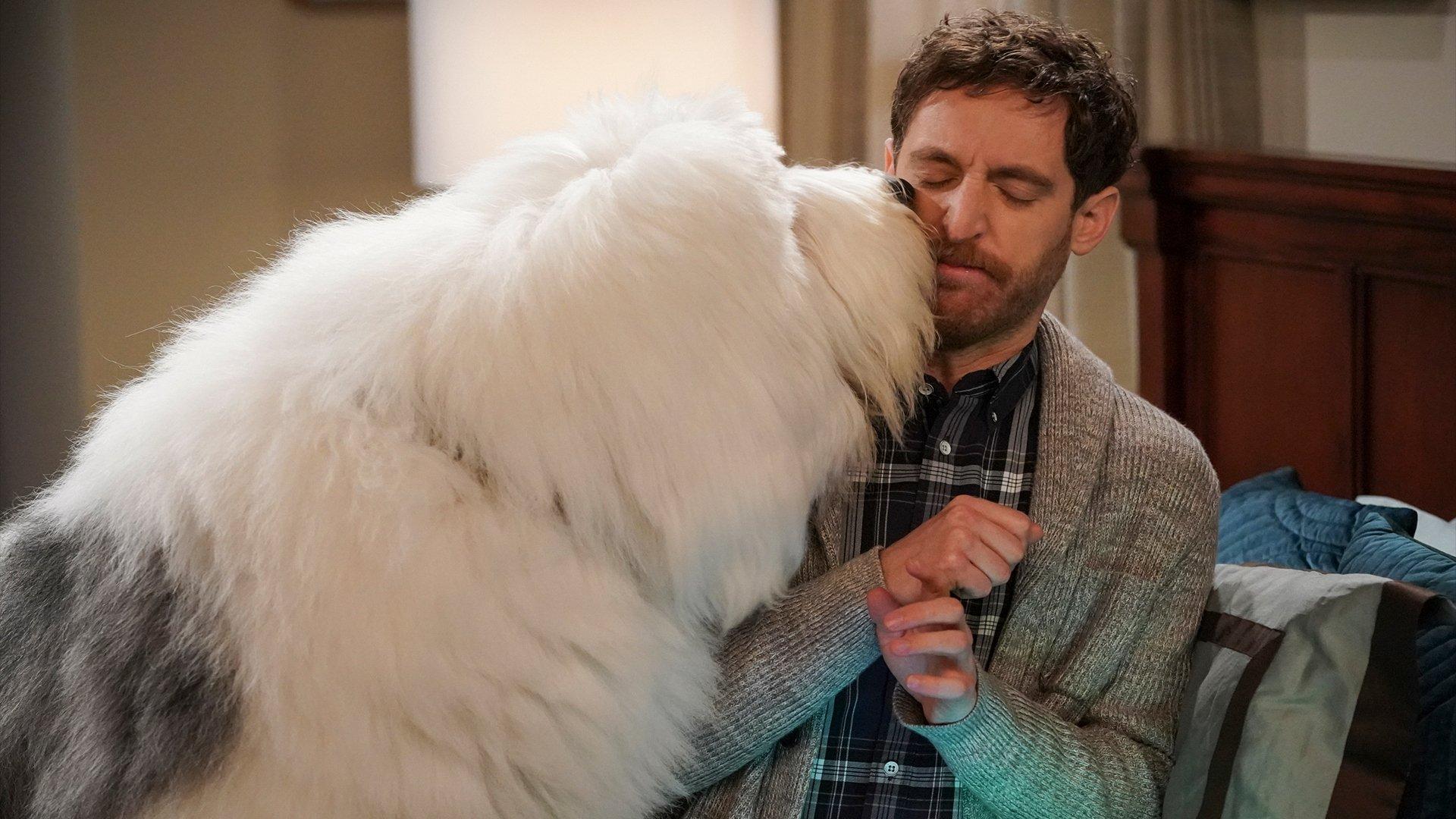 Still from Canine Extraction