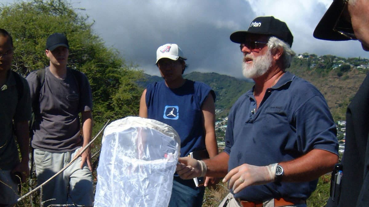 Still from Crime Scene Creatures