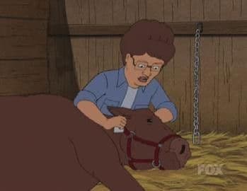Still from A Rover Runs Through It