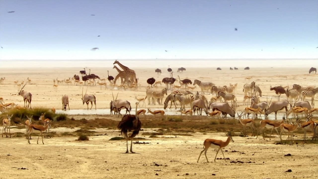 Still from The Greatest Show on Earth