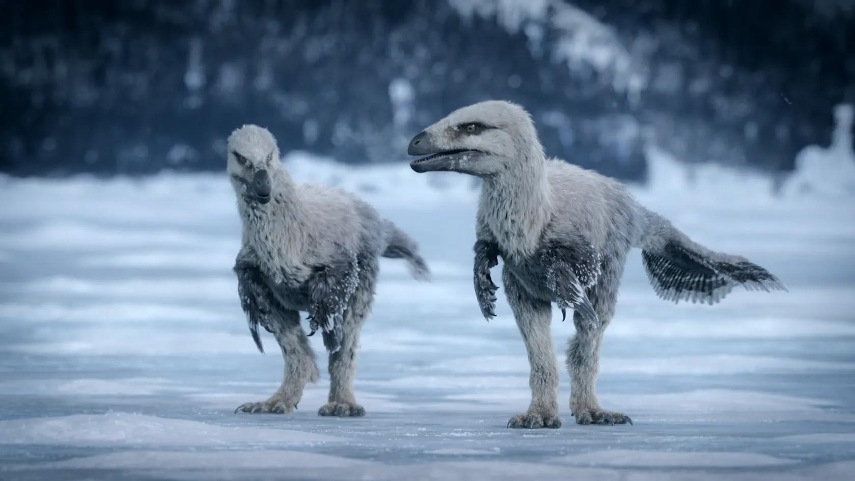 Still from Nature's Greatest Show