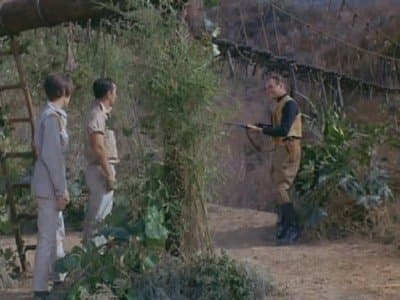 Still from Island of the Darned