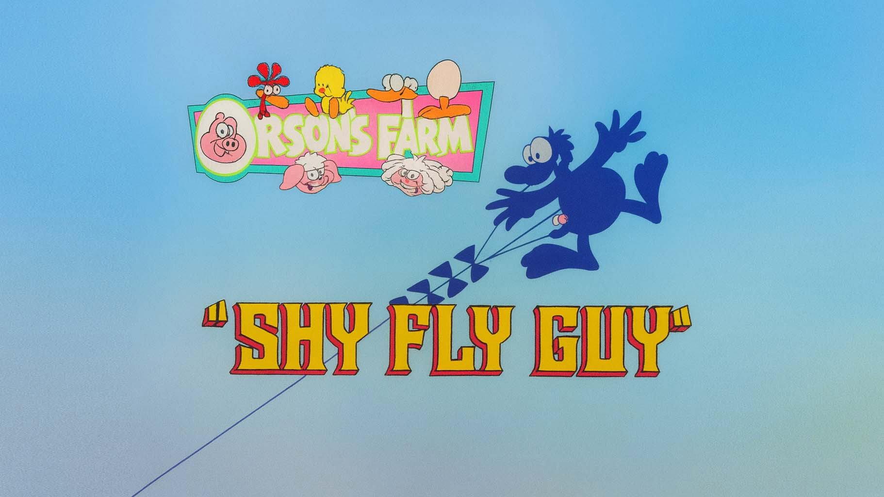 Still from Shy Fly Guy