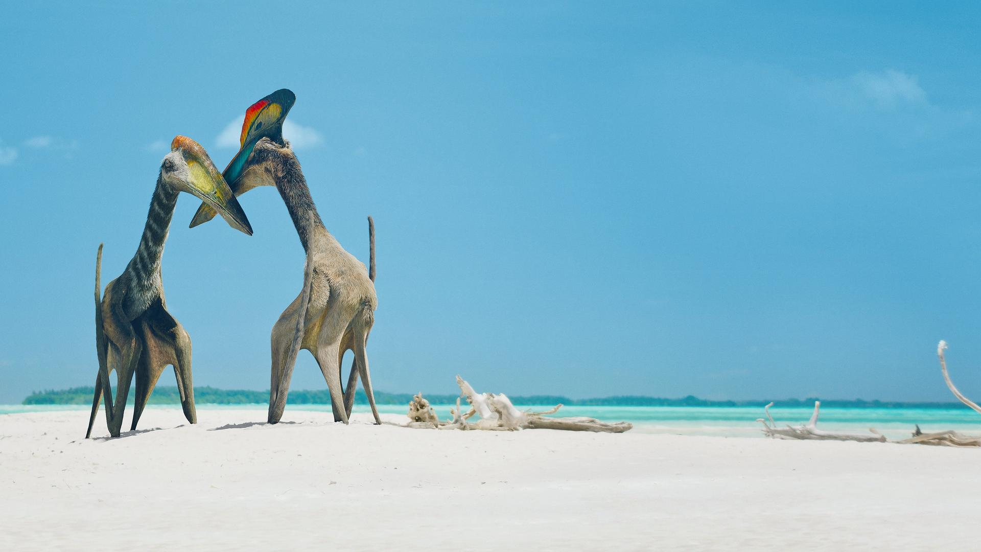 Still from Islands