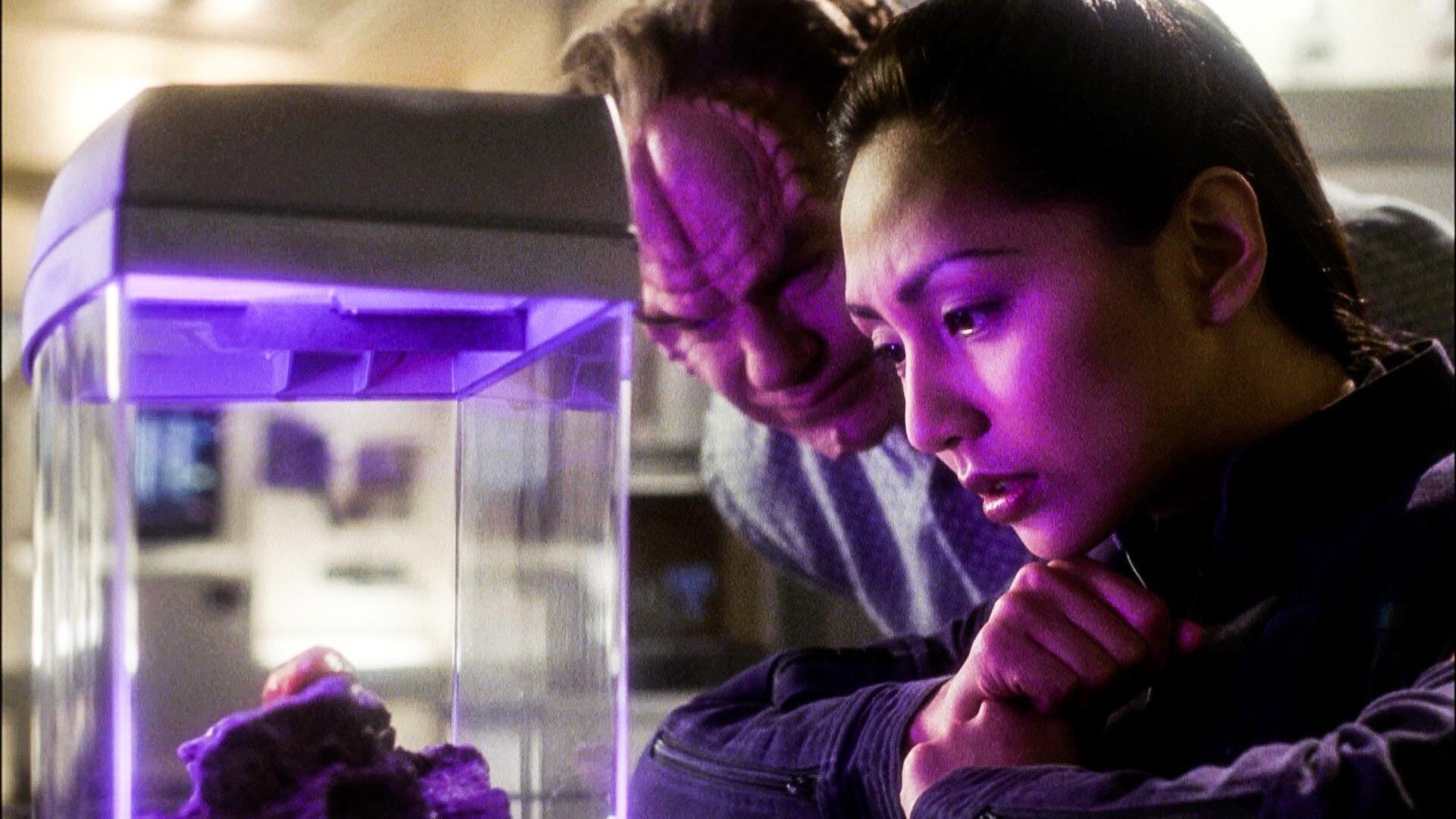 Still from Fight or Flight