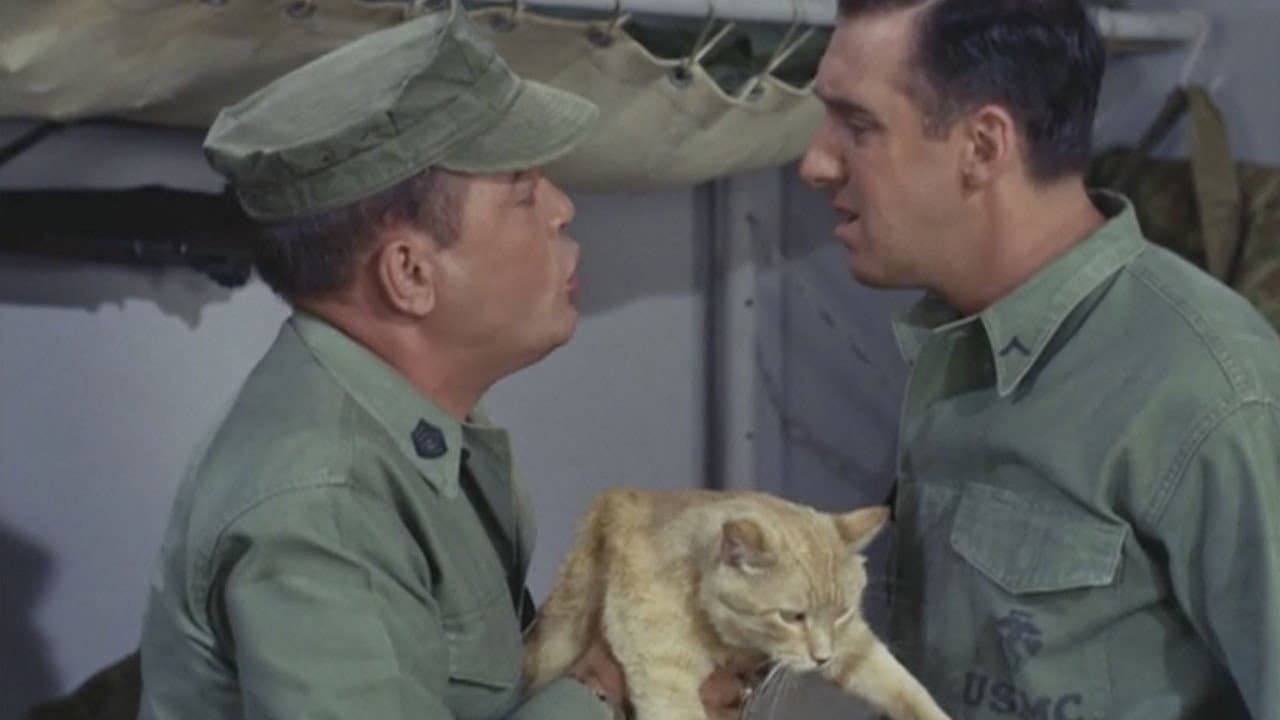 Still from Cat Overboard